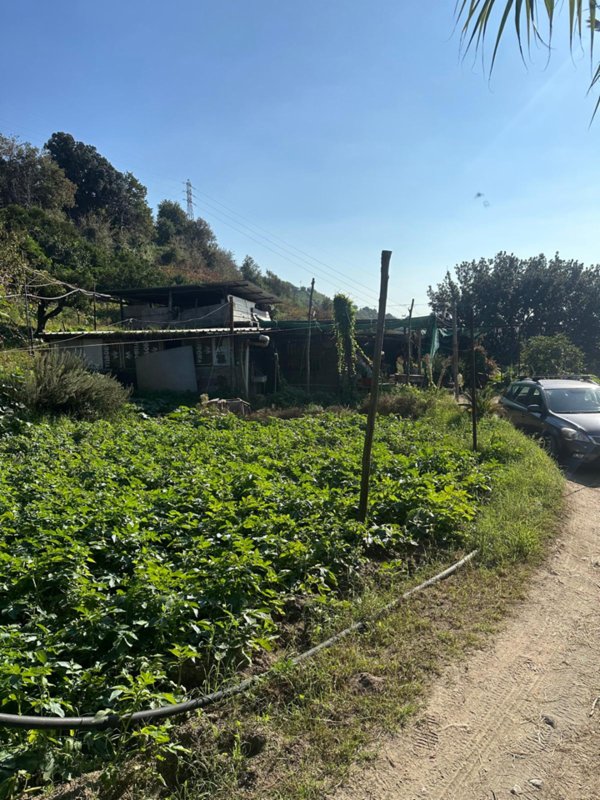 appartamento in vendita a Napoli in zona Scampia