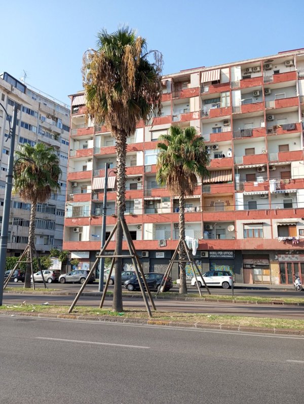 appartamento in vendita a Napoli in zona Mercato