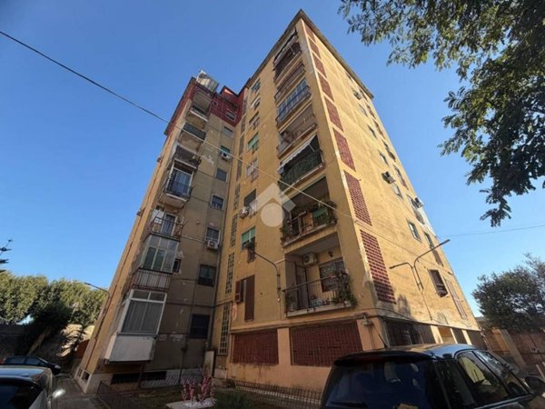 appartamento in vendita a Napoli in zona Piscinola