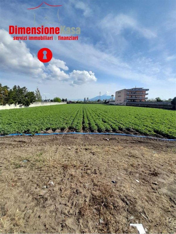 terreno agricolo in vendita a Nola in zona Polvica