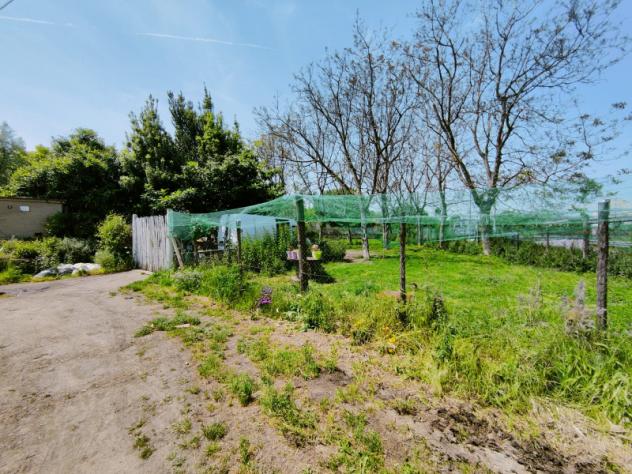 terreno agricolo in vendita a Nola