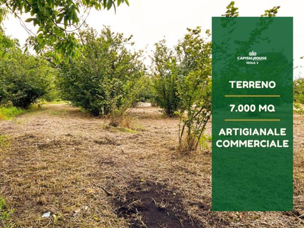 terreno agricolo in vendita a Nola in zona Piazzola