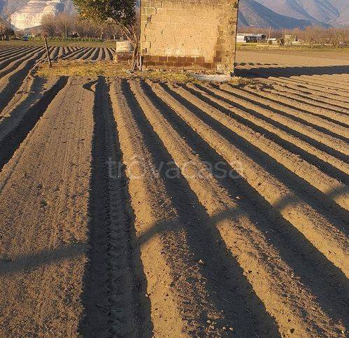 terreno agricolo in vendita a Nola