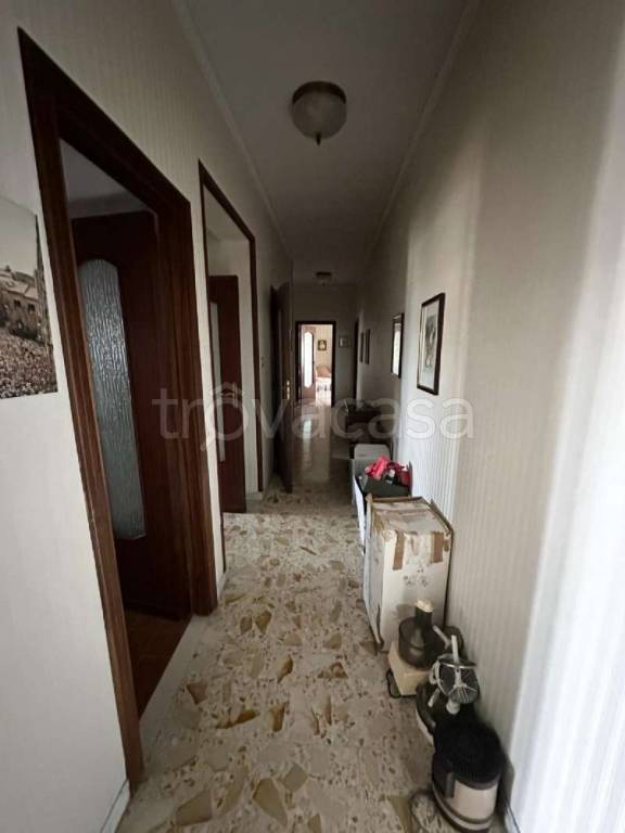 immagine annuncio 0 di 14