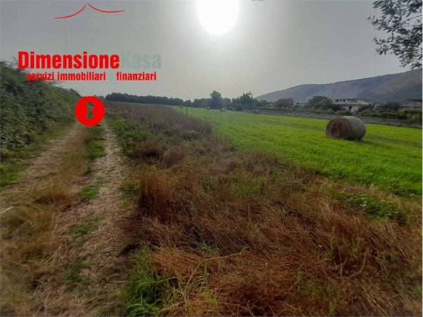 terreno agricolo in vendita a Nola in zona Polvica