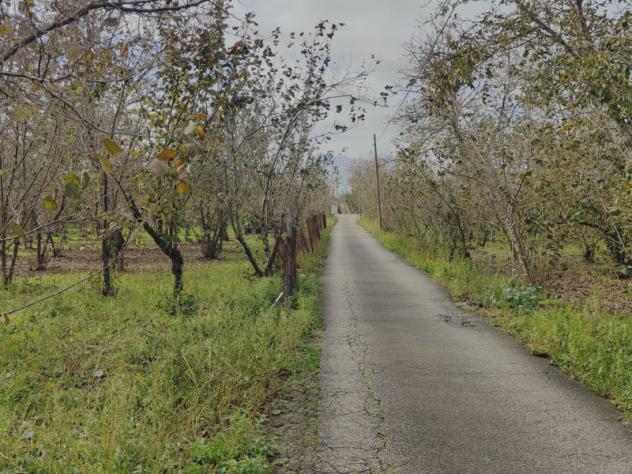 terreno agricolo in vendita a Nola in zona Poverello