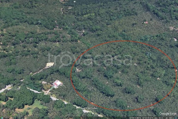terreno agricolo in vendita a Nola