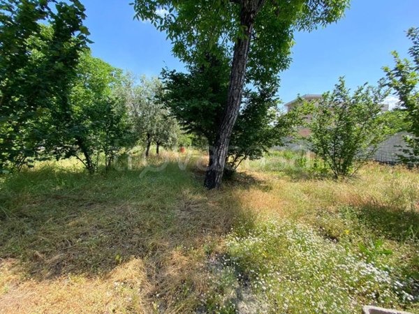 terreno agricolo in vendita a Nola