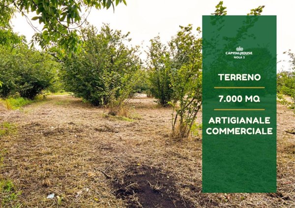 terreno agricolo in vendita a Nola