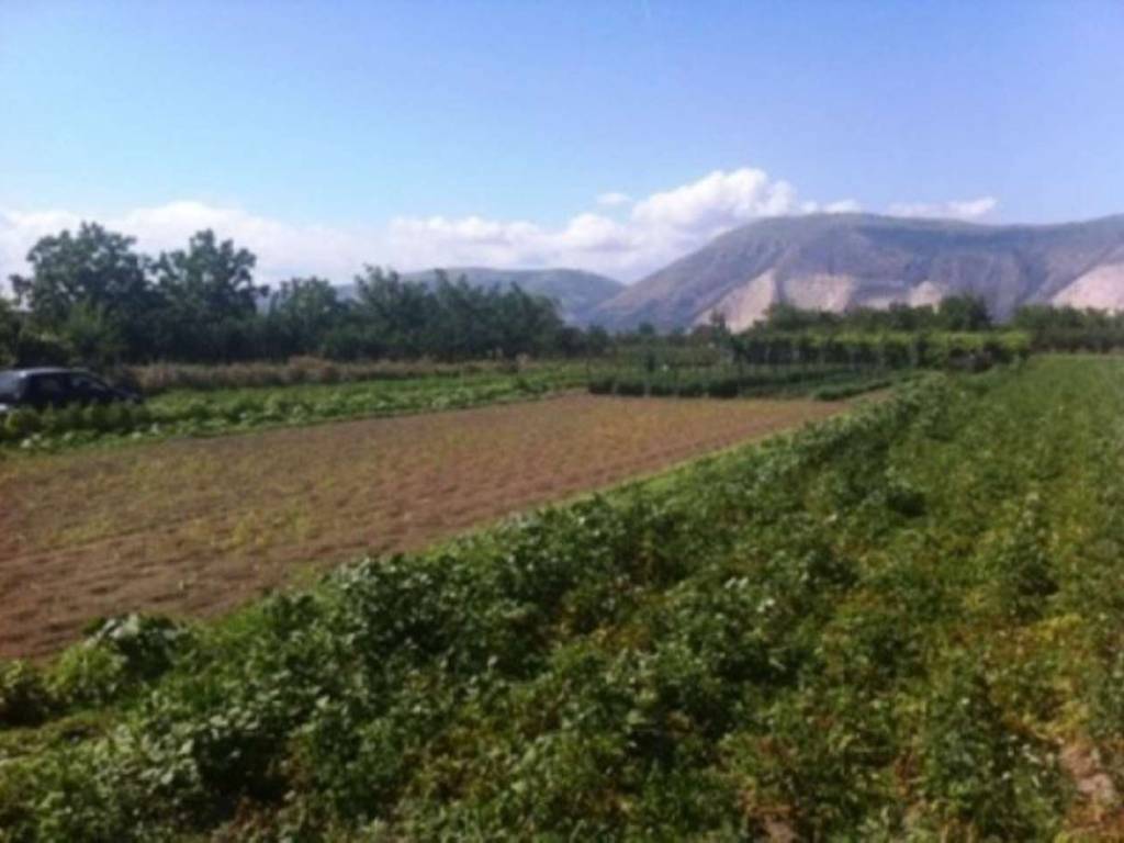 terreno agricolo in vendita a Nola in zona Boscofangone