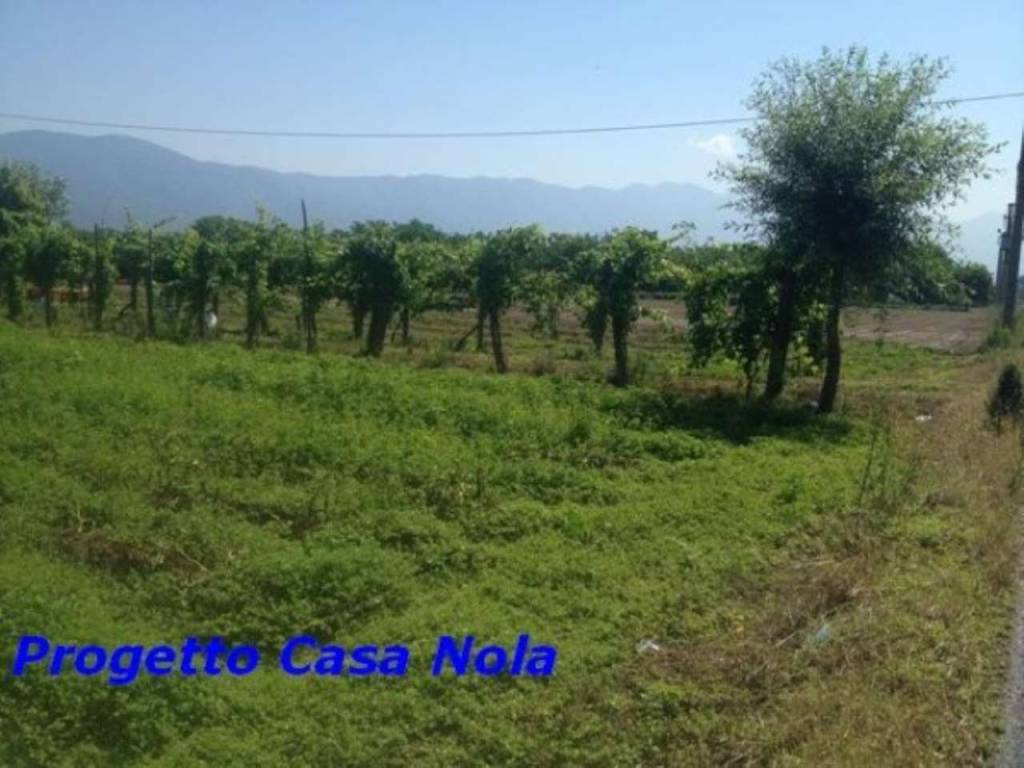 terreno agricolo in vendita a Nola in zona Boscofangone