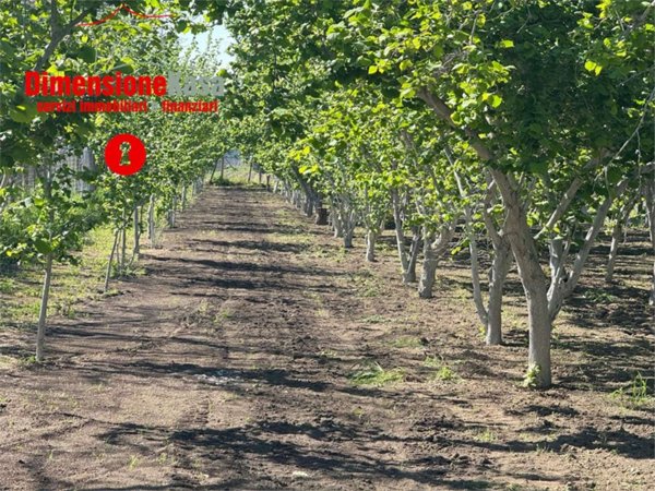 terreno agricolo in vendita a Nola in zona Boscofangone