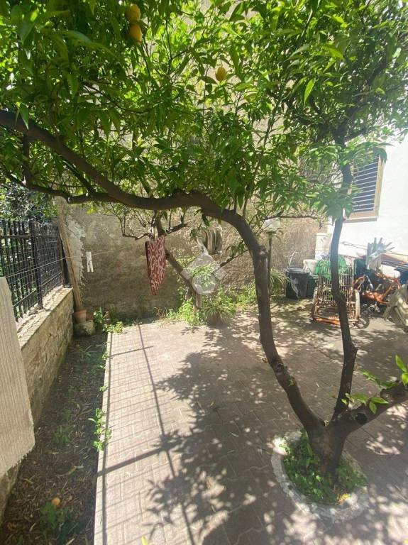 appartamento in vendita a Nola