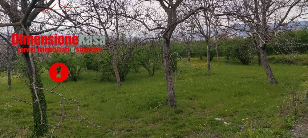 terreno agricolo in vendita a Nola