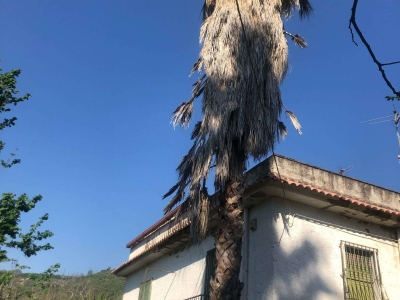 casa indipendente in vendita a Nola