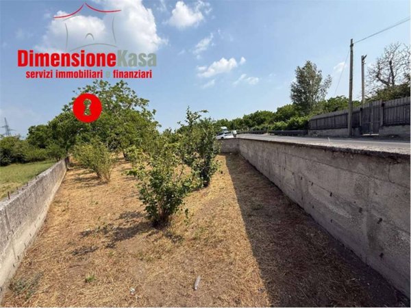 terreno agricolo in vendita a Nola
