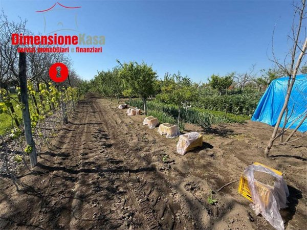 terreno agricolo in vendita a Nola in zona Boscofangone