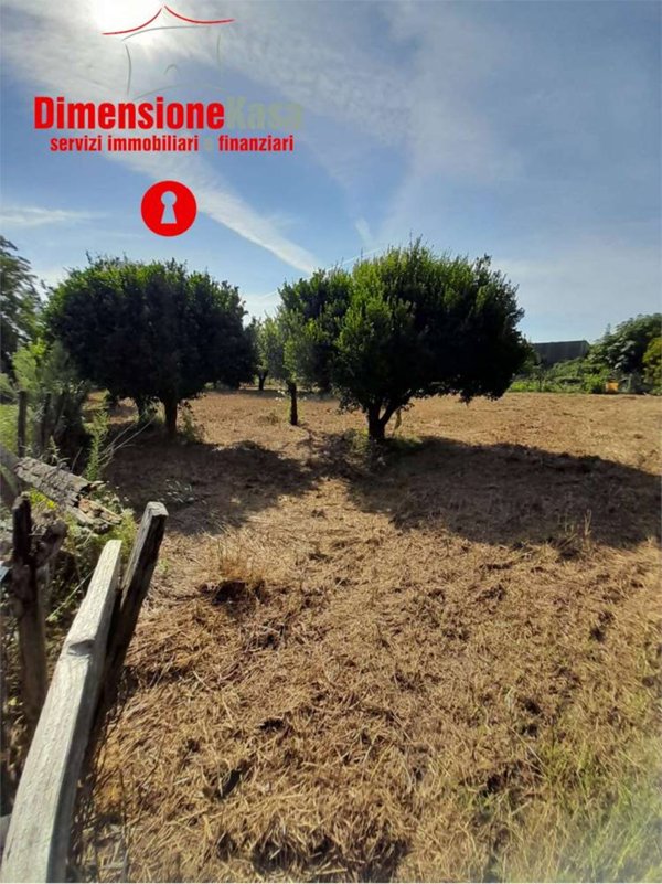 terreno agricolo in vendita a Nola in zona Polvica