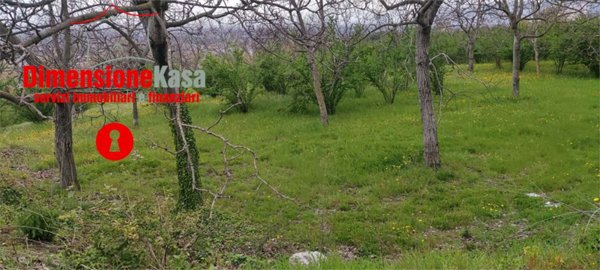 terreno agricolo in vendita a Nola