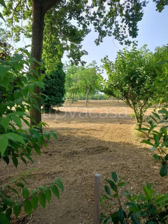 terreno agricolo in vendita a Nola