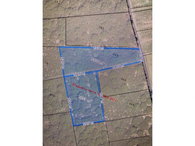 terreno agricolo in vendita a Nola in zona Cappella degli Spiriti