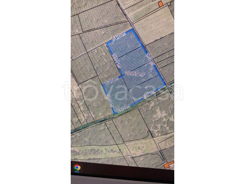 terreno agricolo in vendita a Nola