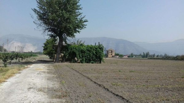 terreno agricolo in vendita a Nola in zona Polvica