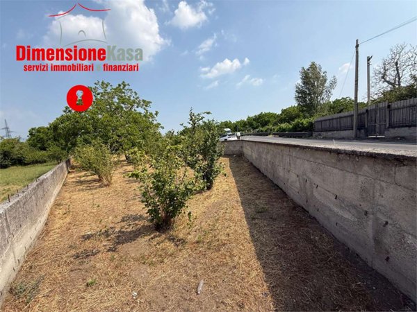 terreno agricolo in vendita a Nola