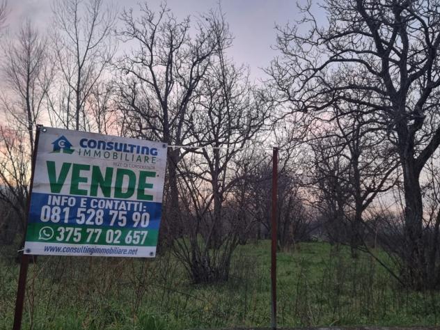 terreno agricolo in vendita a Nola
