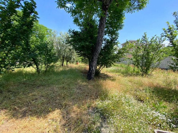 terreno agricolo in vendita a Nola