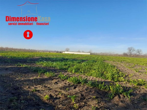 terreno agricolo in vendita a Nola in zona Polvica
