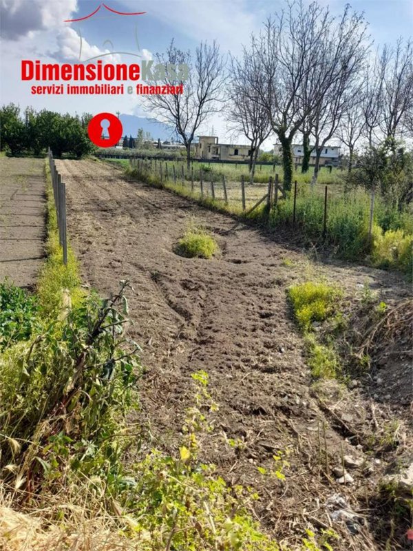 terreno agricolo in vendita a Nola in zona Polvica