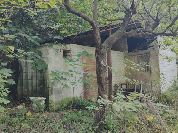 terreno agricolo in vendita a Nola