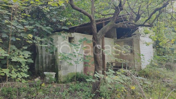 terreno agricolo in vendita a Nola