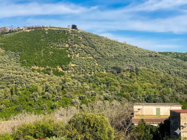 casa indipendente in vendita a Nola