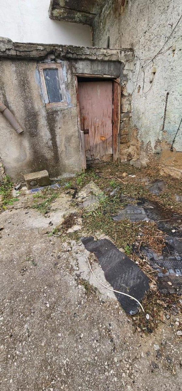 esavano in vendita a Nola in zona Polvica