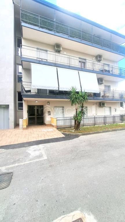 appartamento in vendita a Nola