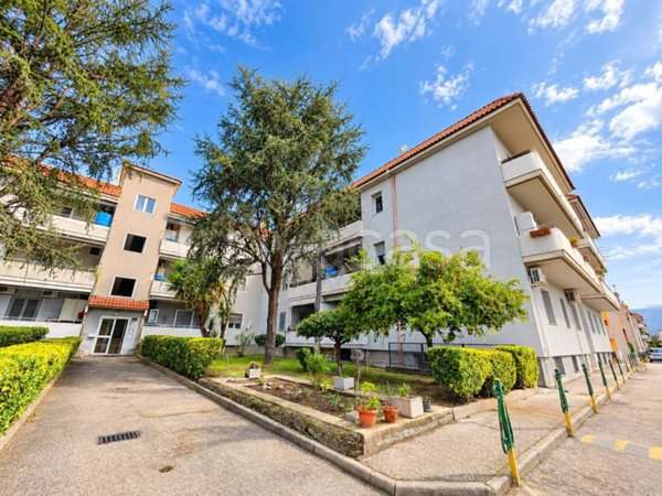 appartamento in vendita a Nola in zona Pigna Spaccata