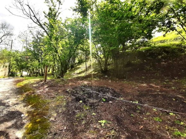 terreno agricolo in vendita ad Ottaviano