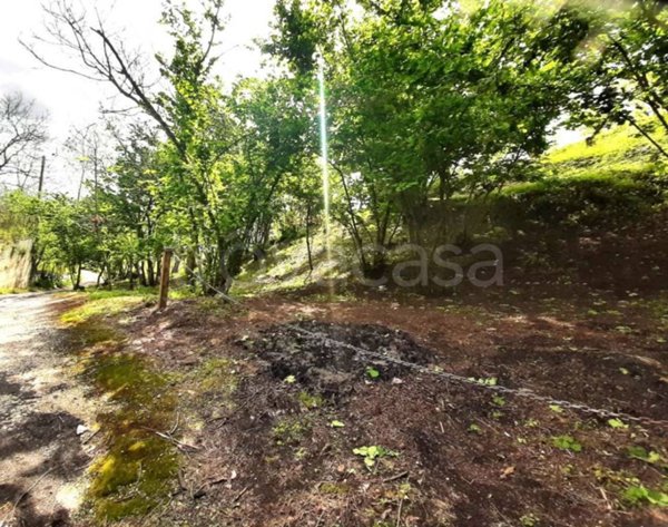 terreno agricolo in vendita ad Ottaviano