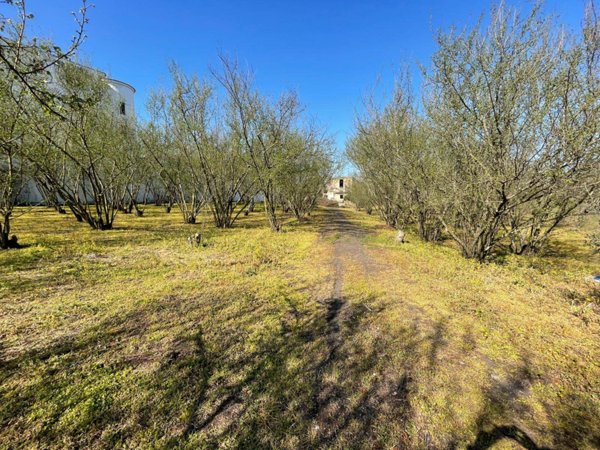 rudere in vendita ad Ottaviano