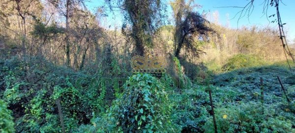 terreno agricolo in vendita ad Ottaviano