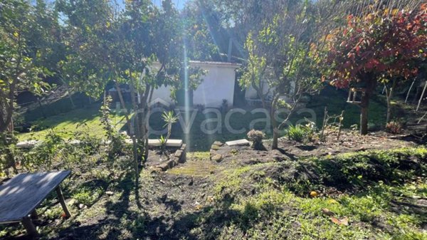 terreno agricolo in vendita ad Ottaviano
