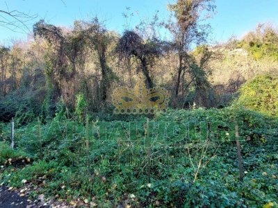 terreno agricolo in vendita ad Ottaviano
