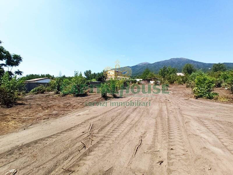terreno agricolo in vendita ad Ottaviano