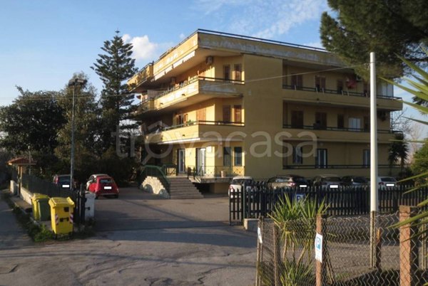negozio in vendita ad Ottaviano