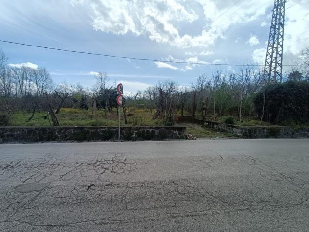 terreno agricolo in vendita ad Ottaviano