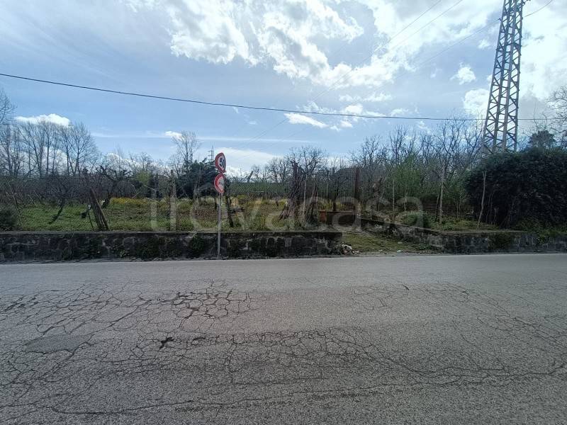terreno agricolo in vendita ad Ottaviano