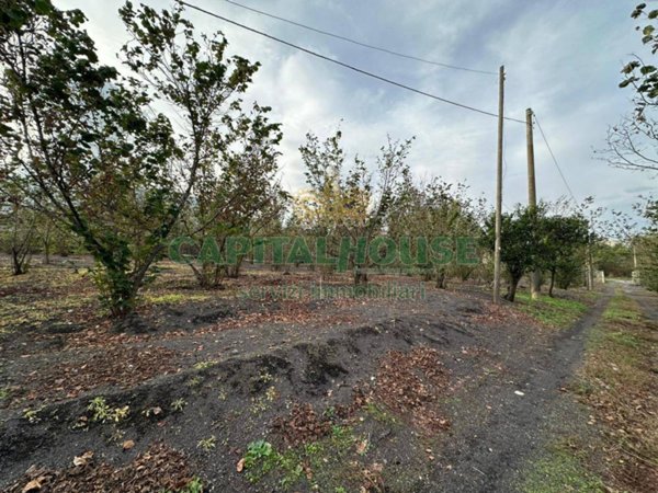 terreno agricolo in vendita ad Ottaviano