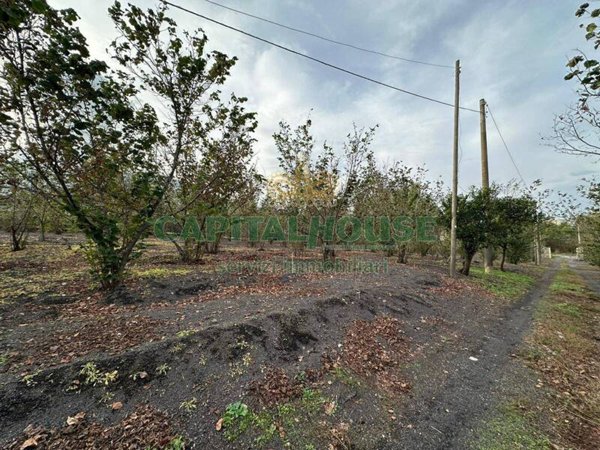 terreno agricolo in vendita ad Ottaviano